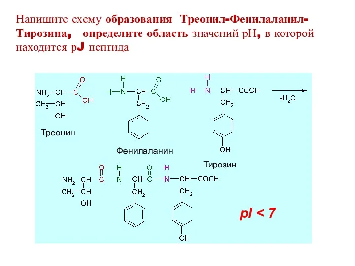 Треонин Фенилаланин Тирозин Напишите схему образования Треонил-Фенилаланил-Тирозина, определите область значений рН,