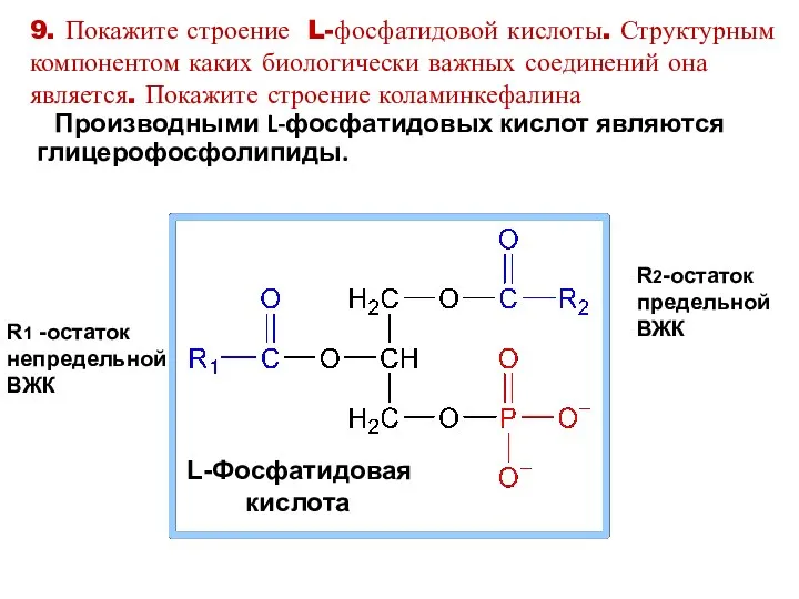 9. Покажите строение L-фосфатидовой кислоты. Структурным компонентом каких биологически важных соединений