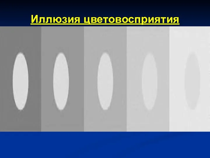 На самом деле круги на разных квадратах одинакового серого оттенка. Иллюзия цветовосприятия