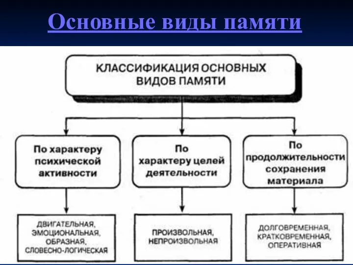 Основные виды памяти