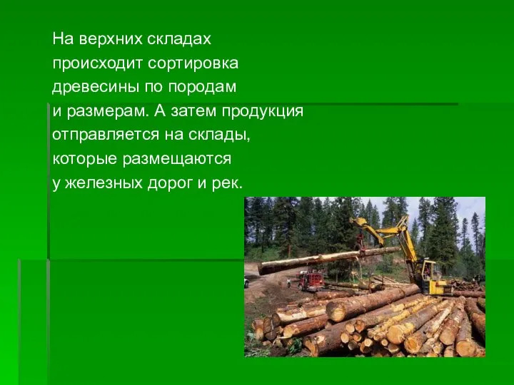 На верхних складах происходит сортировка древесины по породам и размерам. А