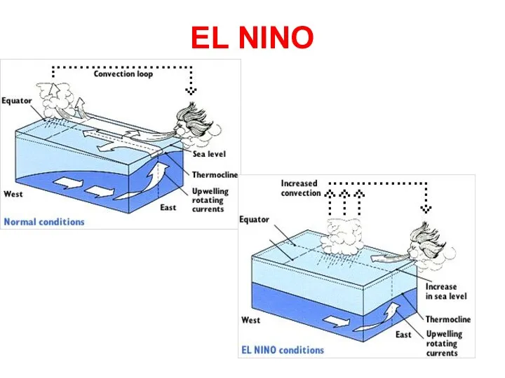 EL NINO The consequences of El Niño