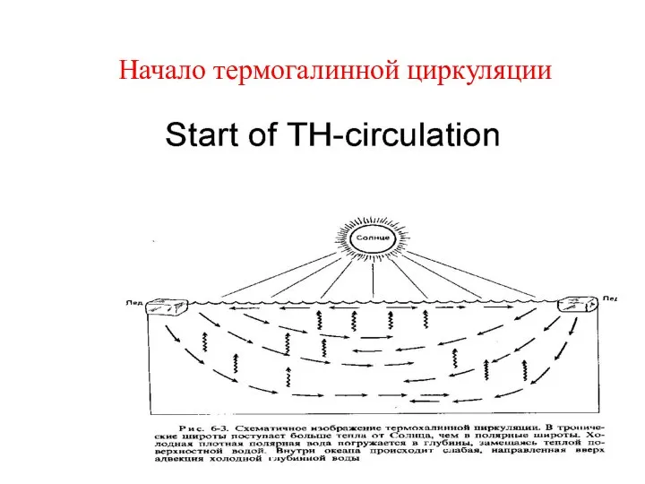 Начало термогалинной циркуляции