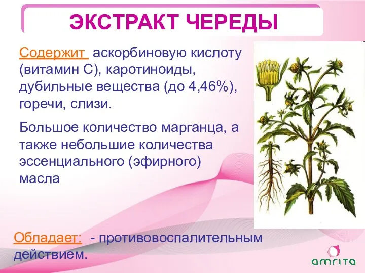 ЭКСТРАКТ ЧЕРЕДЫ Обладает: - противовоспалительным действием. Содержит аскорбиновую кислоту (витамин С),