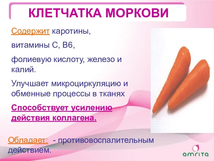 КЛЕТЧАТКА МОРКОВИ Обладает: - противовоспалительным действием. Содержит каротины, витамины С, В6,