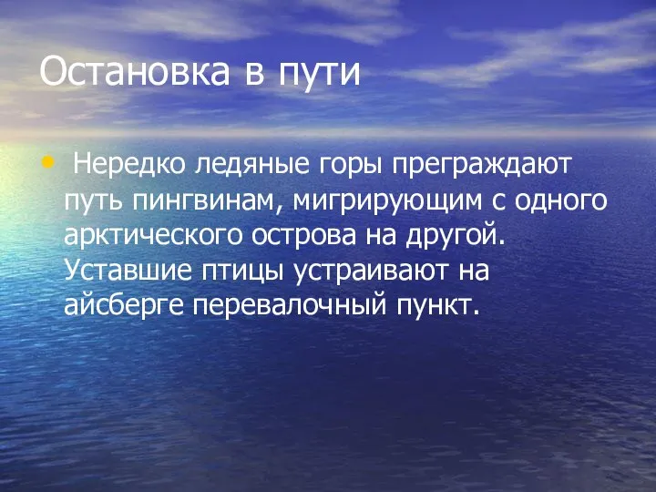 Остановка в пути Нередко ледяные горы преграждают путь пингвинам, мигрирующим с