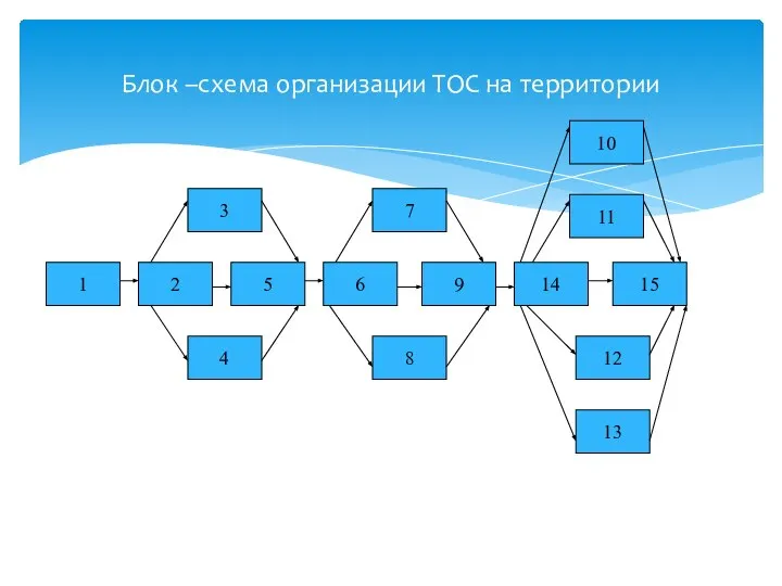 Блок –схема организации ТОС на территории 1 2 5 6 9