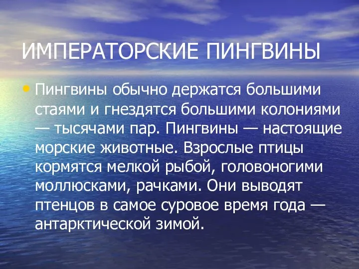 ИМПЕРАТОРСКИЕ ПИНГВИНЫ Пингвины обычно держатся большими стаями и гнездятся большими колониями