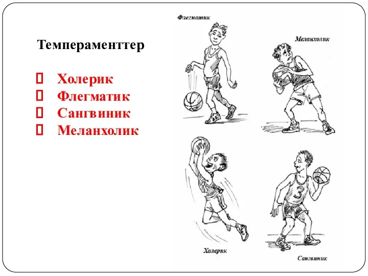 Темпераменттер Холерик Флегматик Сангвиник Меланхолик