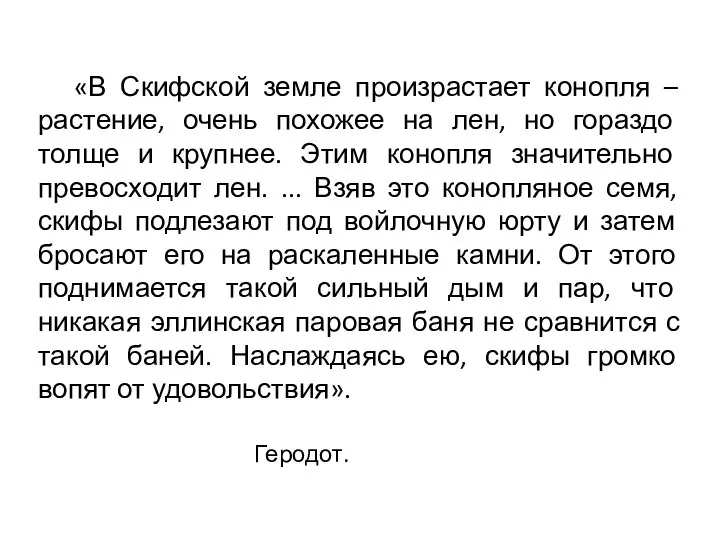 «В Скифской земле произрастает конопля – растение, очень похожее на лен,