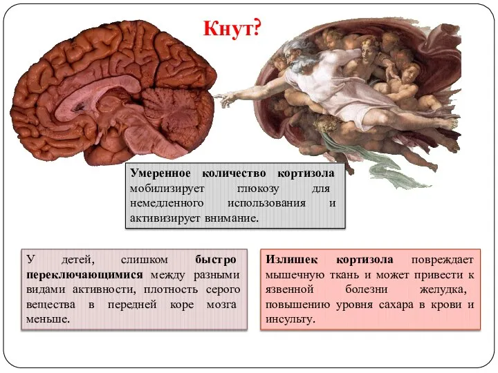 У детей, слишком быстро переключающимися между разными видами активности, плотность серого