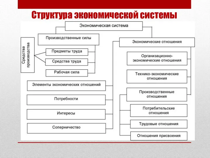 Структура экономической системы