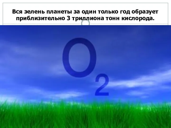 Вся зелень планеты за один только год образует приблизительно 3 триллиона тонн кислорода.