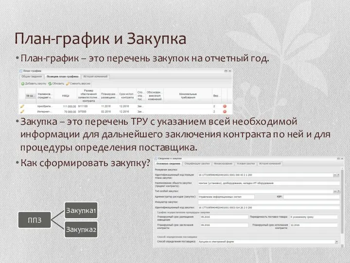 План-график и Закупка План-график – это перечень закупок на отчетный год.