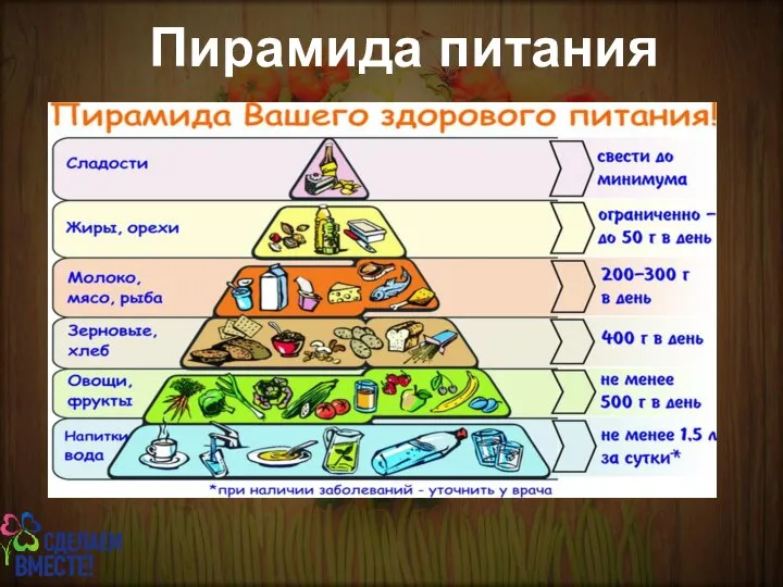 Пирамида питания