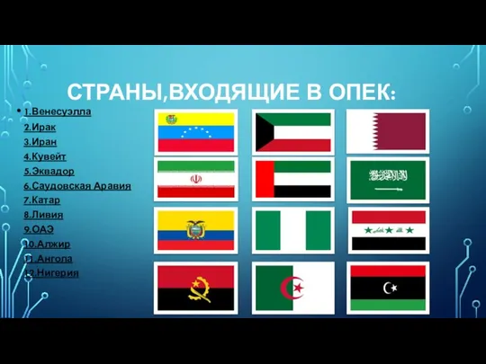 СТРАНЫ,ВХОДЯЩИЕ В ОПЕК: 1.Венесуэлла 2.Ирак 3.Иран 4.Кувейт 5.Эквадор 6.Саудовская Аравия 7.Катар 8.Ливия 9.ОАЭ 10.Алжир 11.Ангола 12.Нигерия