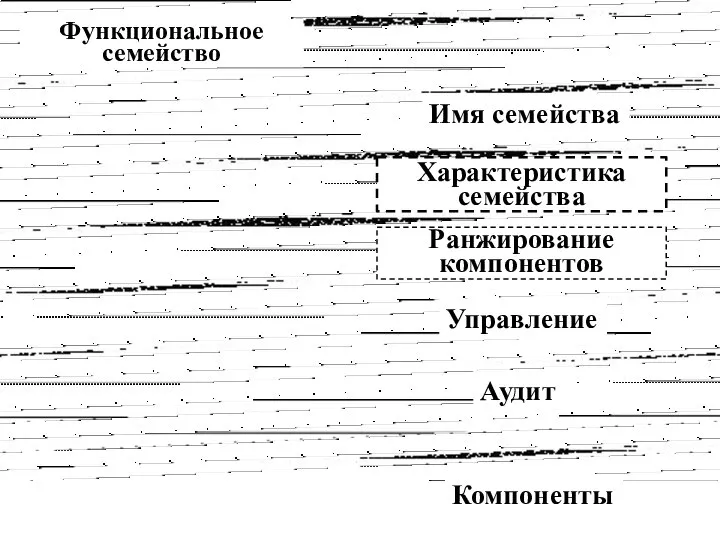 Функциональное семейство Имя семейства Характеристика семейства Ранжирование компонентов Управление Аудит Компоненты