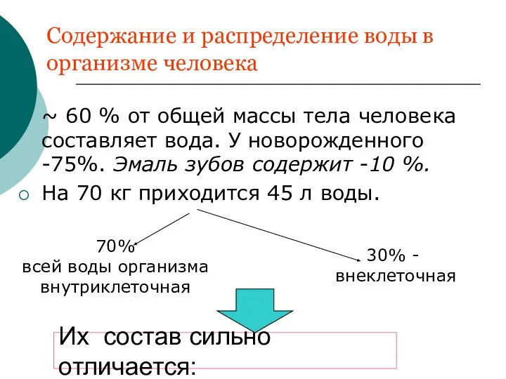 Содержание и распределение воды в организме человека ~ 60 % от