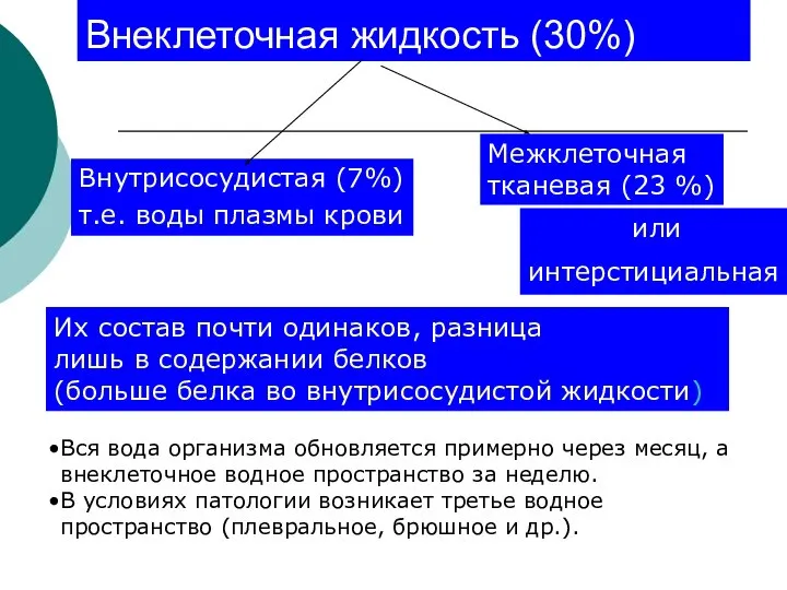 Внеклеточная жидкость (30%) Межклеточная тканевая (23 %) Внутрисосудистая (7%) т.е. воды