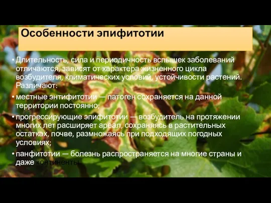 Особенности эпифитотии Длительность, сила и периодичность вспышек заболеваний отличаются, зависят от