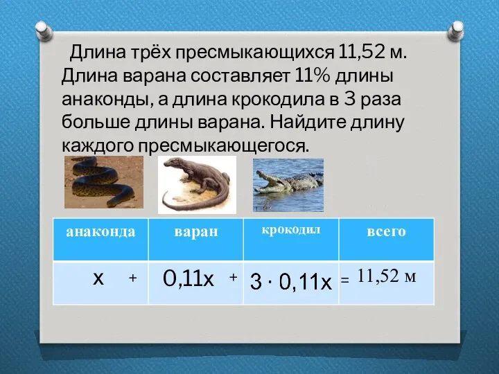 Длина трёх пресмыкающихся 11,52 м. Длина варана составляет 11% длины анаконды,