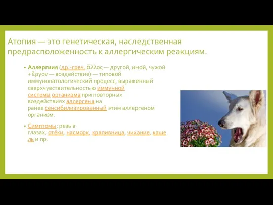 Атопия — это генетическая, наследственная предрасположенность к аллергическим реакциям. Аллергиия (др.-греч.