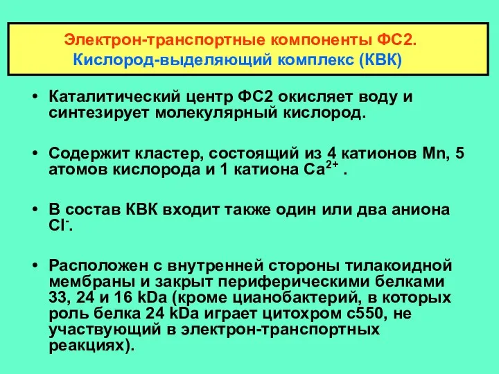 Каталитический центр ФС2 окисляет воду и синтезирует молекулярный кислород. Содержит кластер,