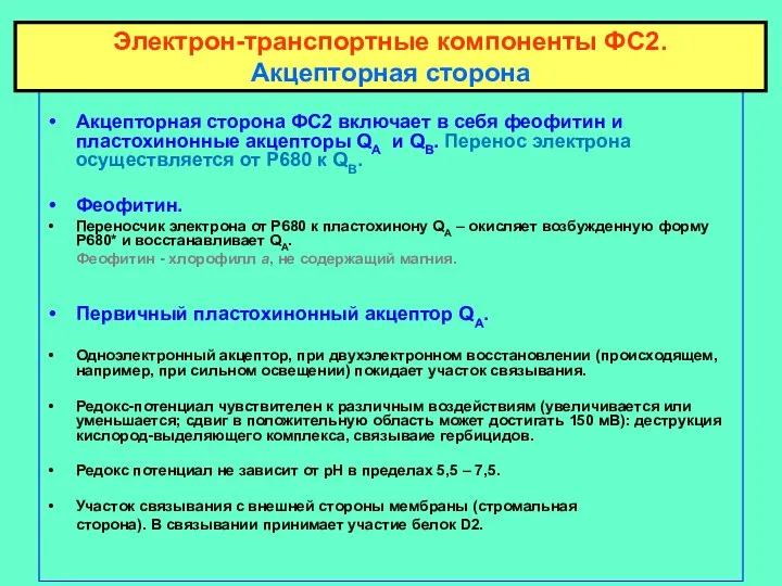 Акцепторная сторона ФС2 включает в себя феофитин и пластохинонные акцепторы QA