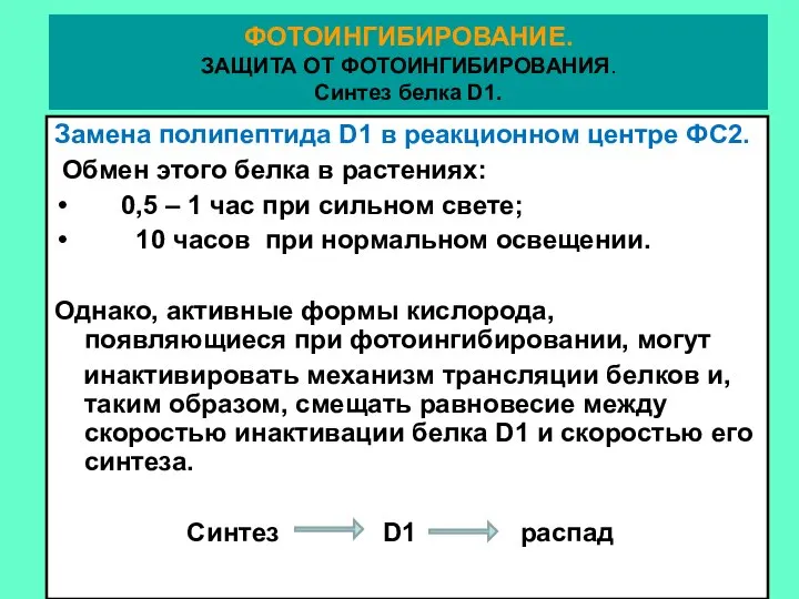 Замена полипептида D1 в реакционном центре ФС2. Обмен этого белка в