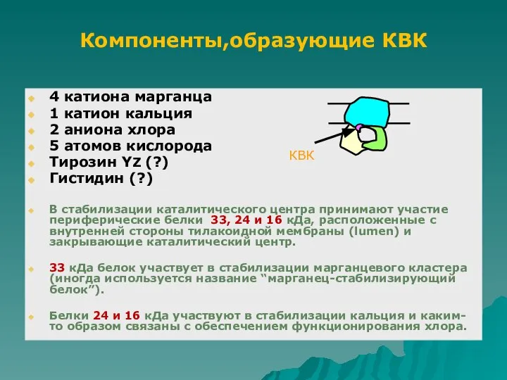 4 катиона марганца 1 катион кальция 2 аниона хлора 5 атомов