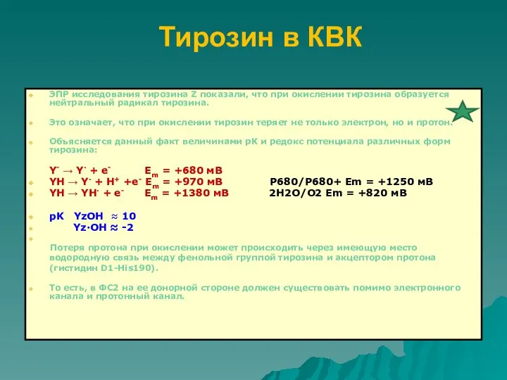 Тирозин в КВК ЭПР исследования тирозина Z показали, что при окислении