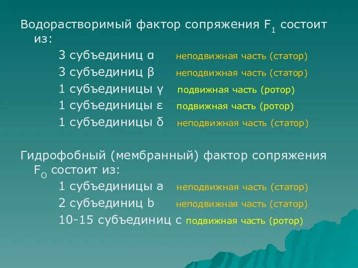 Водорастворимый фактор сопряжения F1 cостоит из: 3 субъединиц α неподвижная часть