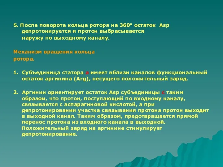 5. После поворота кольца ротора на 360о остаток Asp депротонируется и