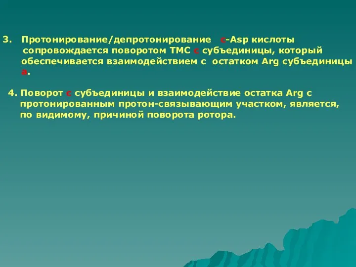 Протонирование/депротонирование c-Asp кислоты сопровождается поворотом ТМC с субъединицы, который обеспечивается взаимодействием