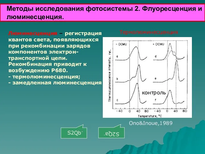 Методы исследования фотосистемы 2. Флуоресценция и люминесценция. Люминесценция – регистрация квантов