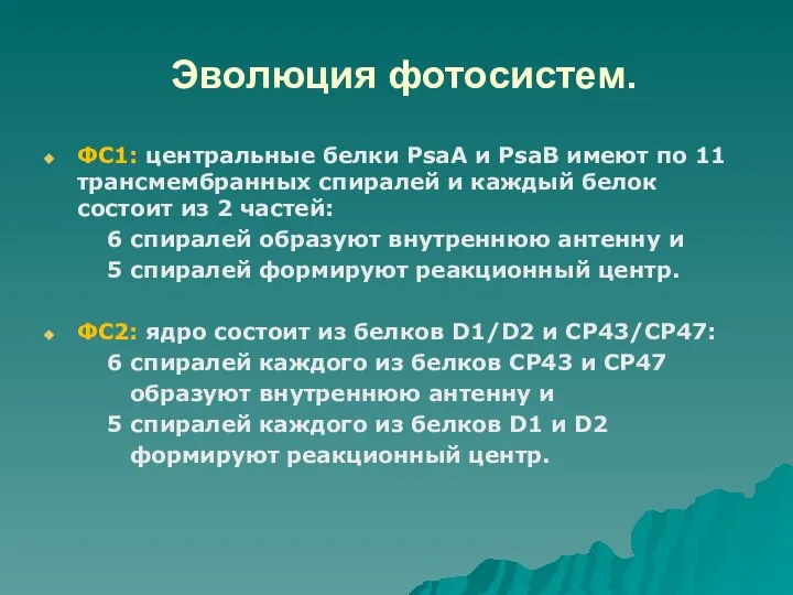 Эволюция фотосистем. ФС1: центральные белки PsaA и PsaB имеют по 11