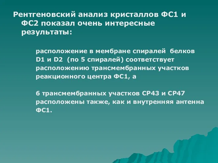 Рентгеновский анализ кристаллов ФС1 и ФС2 показал очень интересные результаты: расположение