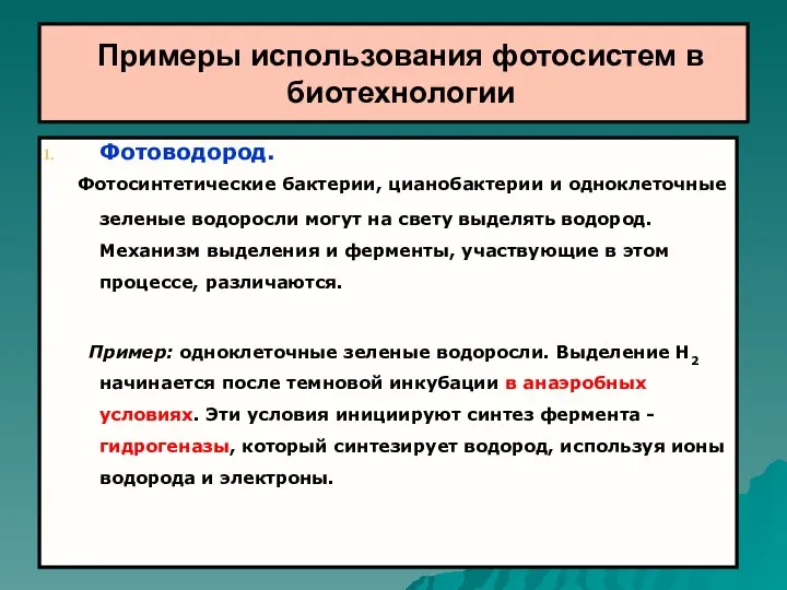 Примеры использования фотосистем в биотехнологии Фотоводород. Фотосинтетические бактерии, цианобактерии и одноклеточные