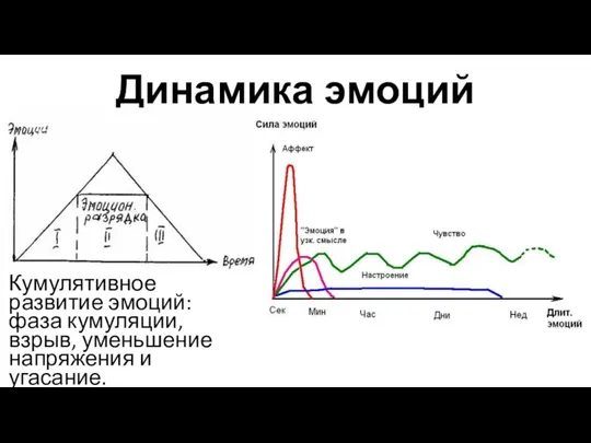 Динамика эмоций Кумулятивное развитие эмоций: фаза кумуляции, взрыв, уменьшение напряжения и угасание.