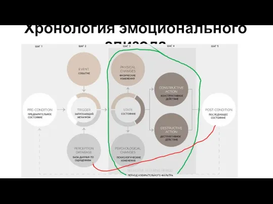 Хронология эмоционального эпизода