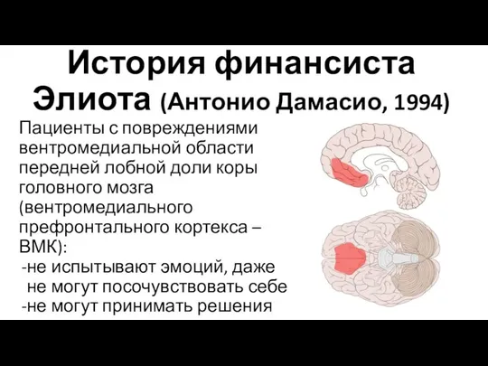 История финансиста Элиота (Антонио Дамасио, 1994) Пациенты с повреждениями вентромедиальной области