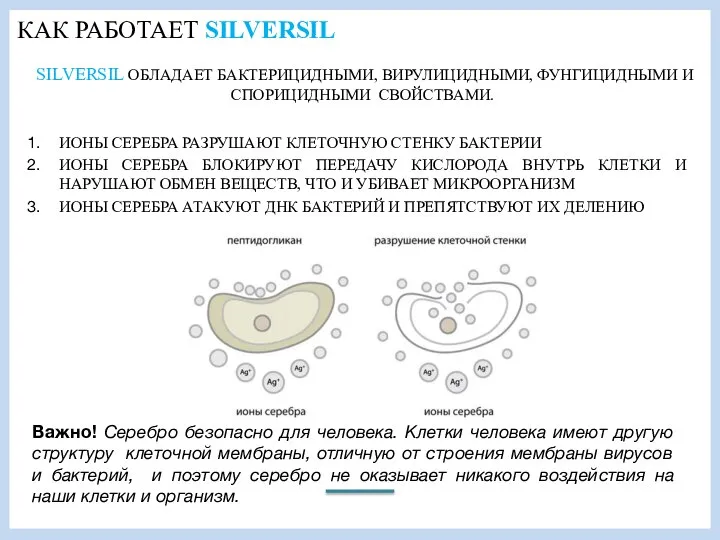 КАК РАБОТАЕТ SILVERSIL SILVERSIL ОБЛАДАЕТ БАКТЕРИЦИДНЫМИ, ВИРУЛИЦИДНЫМИ, ФУНГИЦИДНЫМИ И СПОРИЦИДНЫМИ СВОЙСТВАМИ.