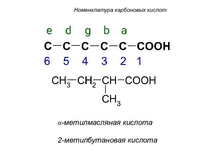 α-метилмасляная кислота 2-метилбутановая кислота Номенклатура карбоновых кислот