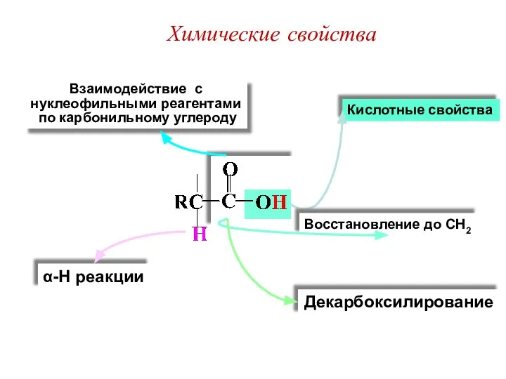 Кислотные свойства Взаимодействие с нуклеофильными реагентами по карбонильному углероду Восстановление до