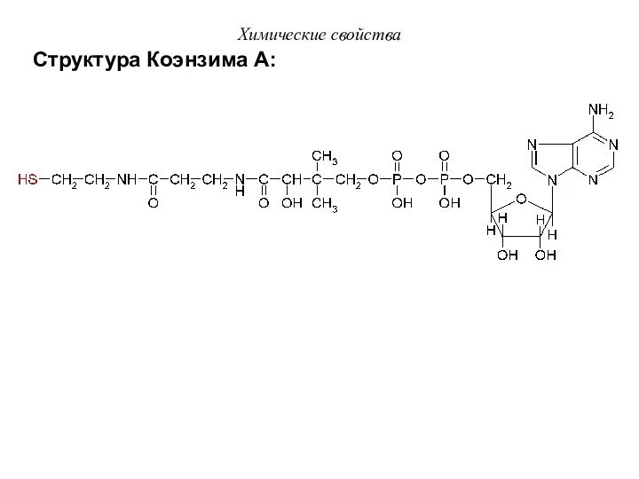 Структура Коэнзима А: Химические свойства