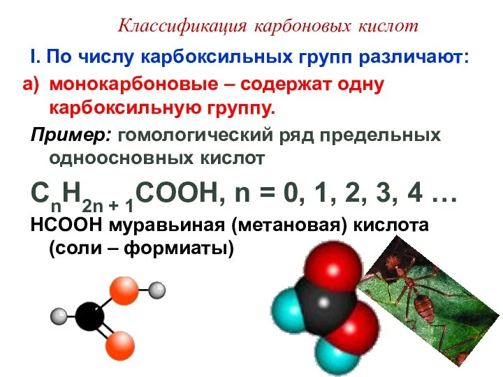 Классификация карбоновых кислот I. По числу карбоксильных групп различают: монокарбоновые –