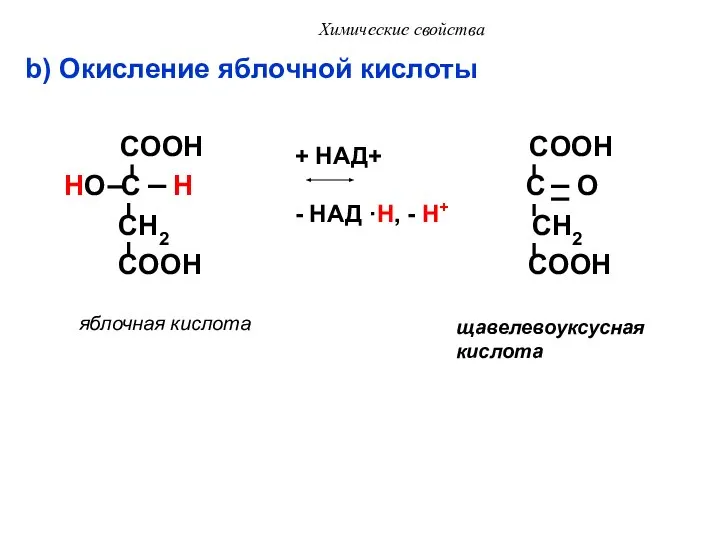 Химические свойства b) Окисление яблочной кислоты COOH COOH HO C H