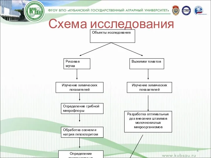 Схема исследования