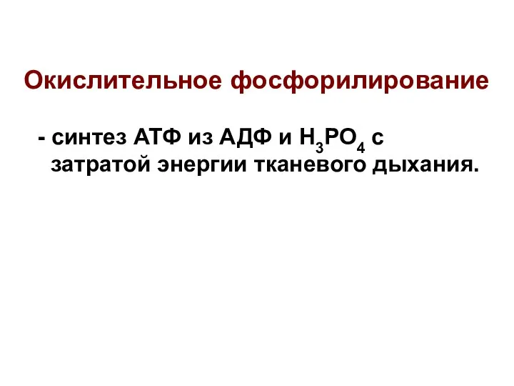 Окислительное фосфорилирование - синтез АТФ из АДФ и Н3РО4 с затратой энергии тканевого дыхания.