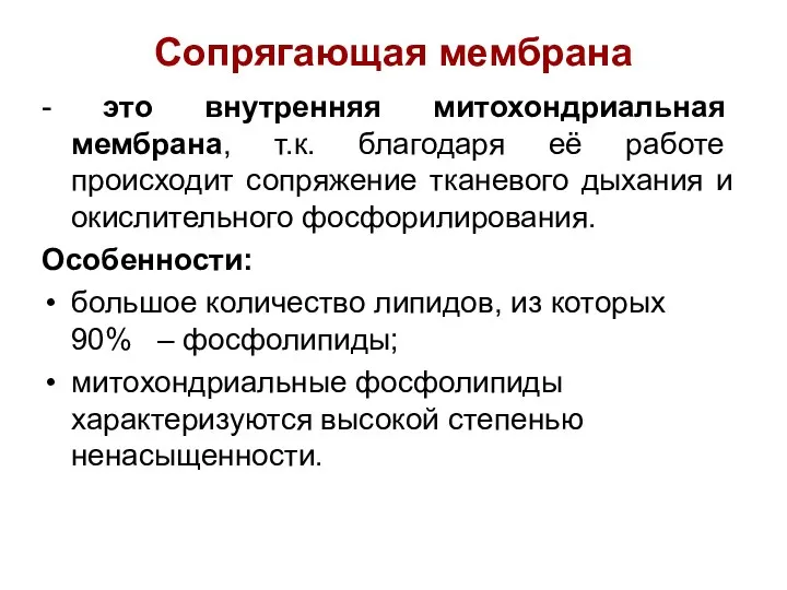 - это внутренняя митохондриальная мембрана, т.к. благодаря её работе происходит сопряжение